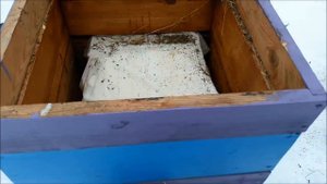 Подкормка пчел канди зимой 1.