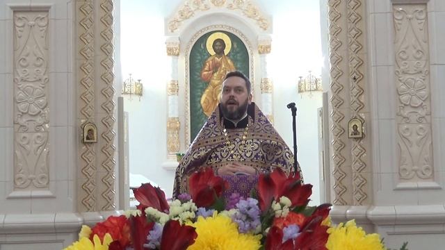 Проповедь отца Сергия. 2 октября 2022 года. смотреть онлайн