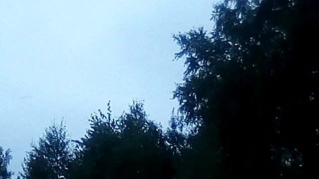 Журавли улетают на юг. смотреть онлайн