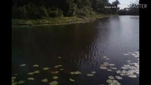 Приятная щука на спиннинг. Вечерняя рыбалка на реке Иловля.