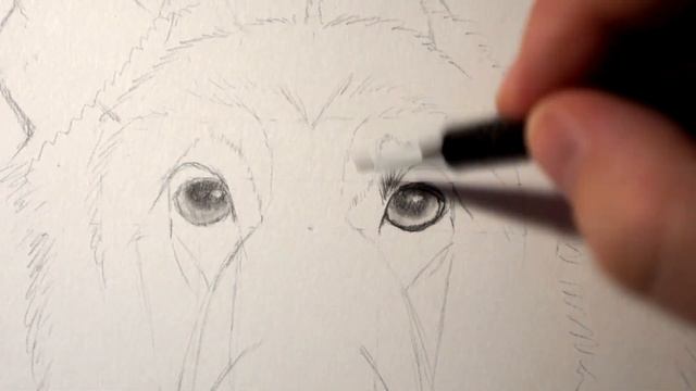 Воскресный "мультик". Немецкая овчарка смотреть онлайн