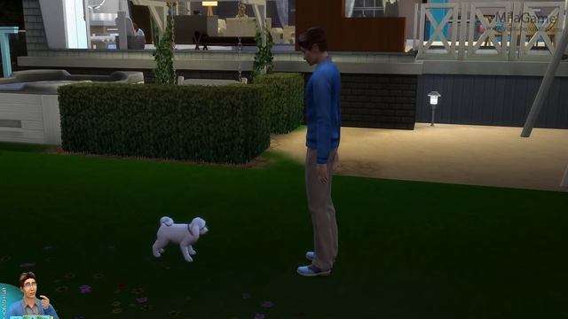 The Sims 4 БЕЗДОМНАЯ СОБАЧКА - НОВЫЙ ПИТОМЕЦ? смотреть онлайн
