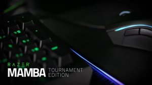 Изучаем Razer Mamba