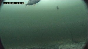 5 50 утра под толстым слоем снега и льда