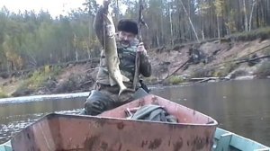 Лов рыбы на октым или суперщука