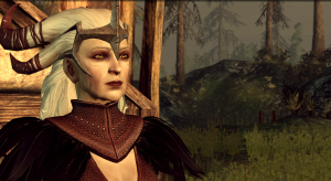 Dragon Age: Origins - Флемет