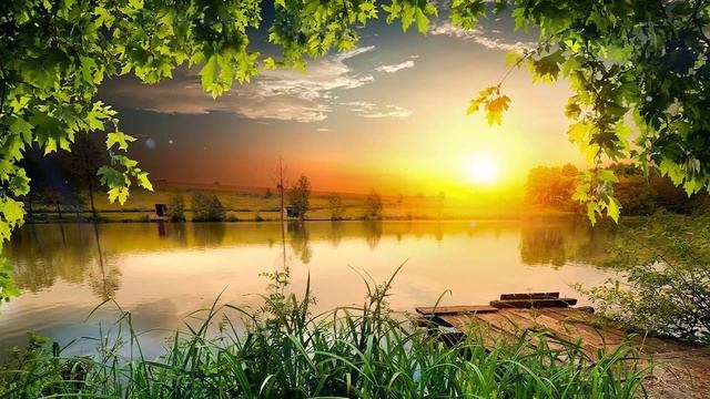 Самая Лучшая Музыка Для Снятия Усталости! Можно слушать Бесконечно! Цветы красиво под музыку 61