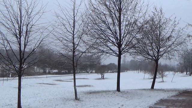Стихотворение Сергея Есенина "Мир таинственный, мир мой древний..." под гитару и осень в парке. смотреть онлайн