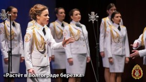 «Растёт в Волгограде берёзка», солистка – Дарья Беликова