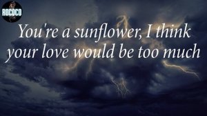 Post Malone - Sunflower (Lyrics)