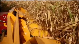 Кукурузная жатка ЖК-80 (JOHN GREAVES)