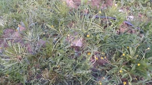 Заземление загородного дома своими руками за 1000 рублей