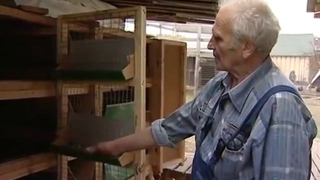 Клетки для кроликов от Золотухина