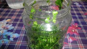 Томатный соус с кинзой "Южный". Видеорецепт