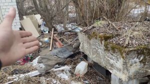Покупка гаража. Как выбрать с умом