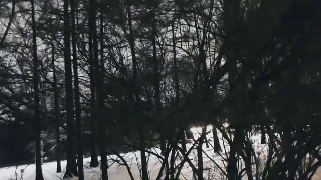 VID 20230225 202219 Путешественник (Гийом Аполлинер)...Павел Васильев Лахтинский смотреть онлайн