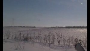 Охота на лису. Охота с МР 18 МН .308 WIN. С нарезным на лису. Predator hunting. Fox hunting