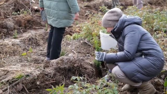 ? АДНАВІМ ЛЯСЫ РАЗАМ ? смотреть онлайн