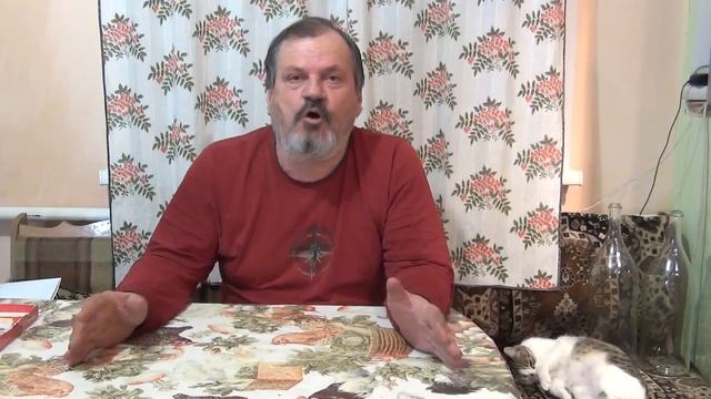 Злободневный ролик 11. Кто виноват и что делать. ЗБР11
