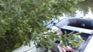 ПЕРВОЕ ЗНАКОМСТВО, Боковой кивок, Ловля