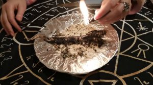 Переклад негатива, болезни в сухое дерево