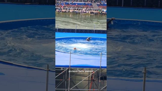 27 МЕТРОВ Сложнейший прыжок и ЖЕСТКИЕ комментарии Игоря Семашко смотреть онлайн