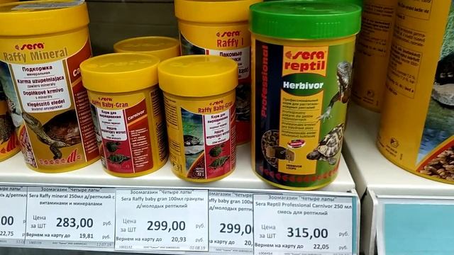 Кормление хищных черепах