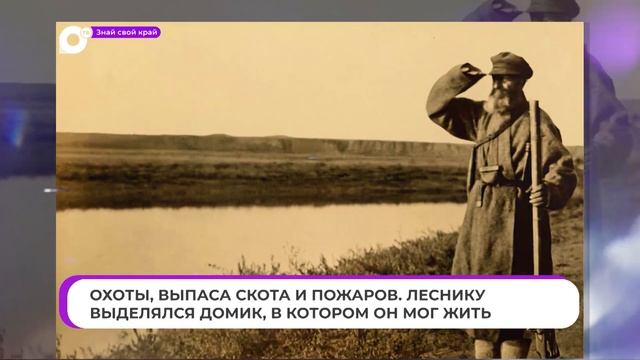 Знай свой край / Лесная стража смотреть онлайн