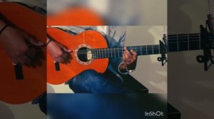 Guitar Flamenco Taranta