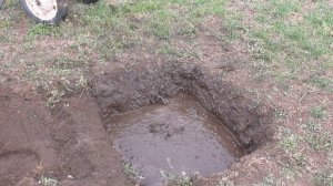 Посадка  деревьев и кустарников. 100 процентная приживаемость саженца.