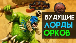Лорды Зеленокожих в будущих дополнениях Total War Warhammer 2