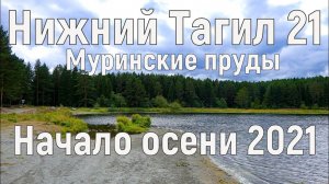 Муринские пруды. Начало осени. Нижний Тагил 2021 г. (4К)