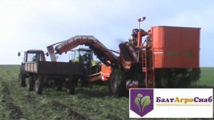 Морковоуборочный трехрядный комбайн SIMON