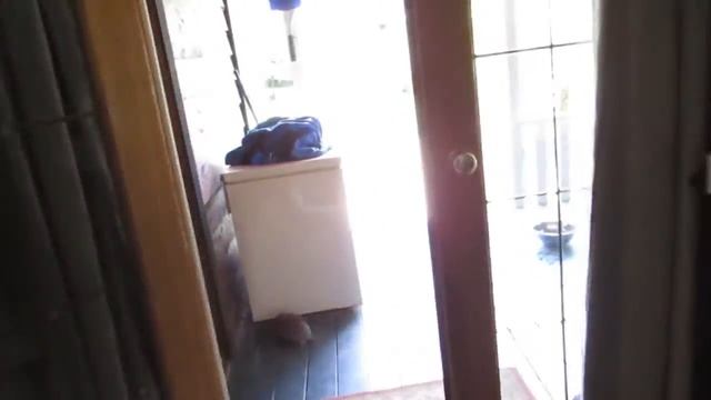 New Canon SX50 Vs Old 300HS ELPH смотреть онлайн