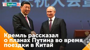 Владимир Путин посетит с государственным визитом в Китай