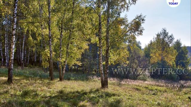 Очень красивые виды природы в высоком качестве, (1080р fullhd) медитация расслабление смотреть онлайн