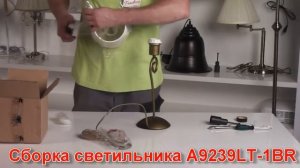 Настольная лампа ARTE Lamp A9239LT-1BR  - видеообзор