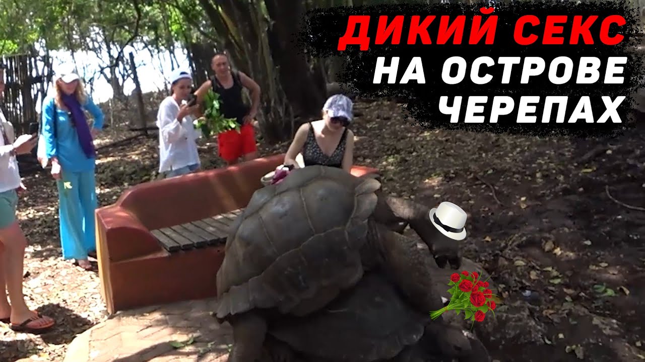 Поездка на остров Призон. Занзибар 2021