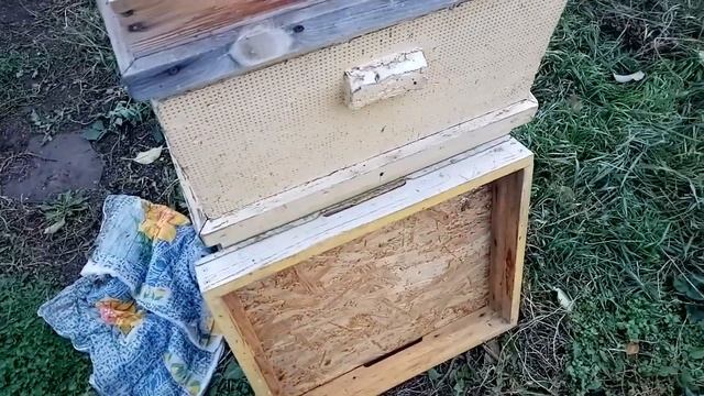 14.10.2023 г. Пытаюсь объединить семьи. смотреть онлайн