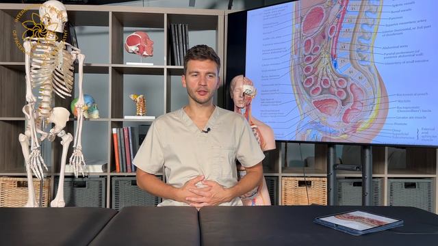 ПАЛЬПАЦИЯ И ПЕРЦЕПЦИЯ | урок 5 смотреть онлайн