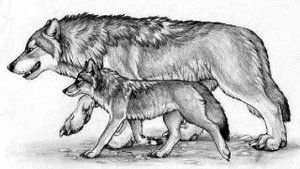 "Волк и Волчонок"; И. А. Крылов