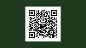 информация о работе международных экологических организаций в россии кратко