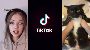 ПОДБОРКА ТИК ТОК ПРИКОЛОВ 2021 (TIK TOK COMPILATION) #23