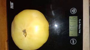 Томат Микадо карамельный.