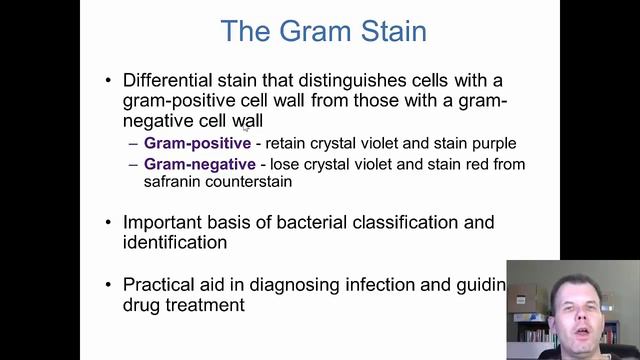 Unit 1. Chapter 4. The Prokaryotes