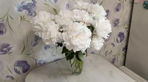 Сногсшибательные пионы радуют  не только женские глаза, но и кухонный стол. Цветы в вазе. Букет.