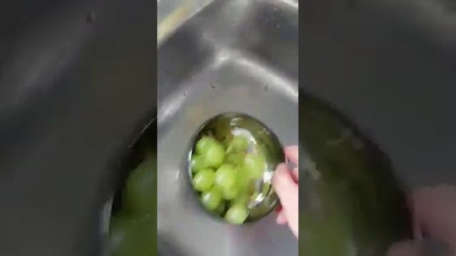 DAMLA. ЭКО продукция от Турецкой Компании Производителя ERSAG