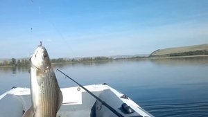 Рыбалка на реке Туба.// Сентябрь 2016..