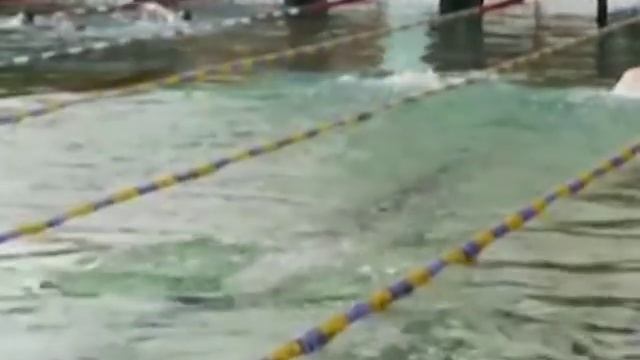 Дело жизни - тренер по плаванию смотреть онлайн