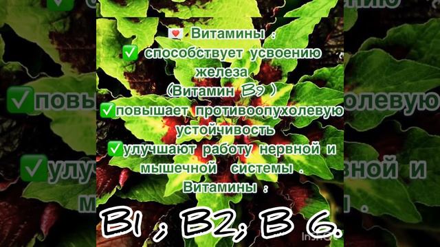 Амарант смотреть онлайн